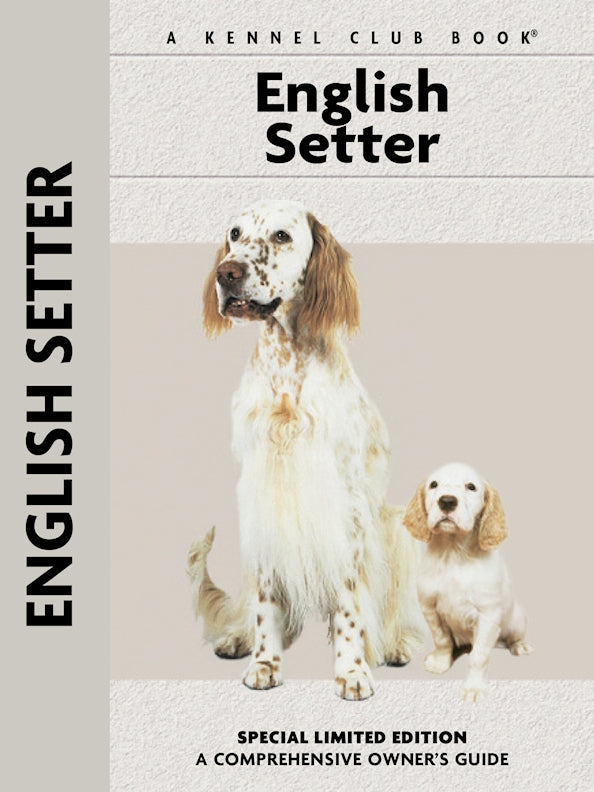 English Setter