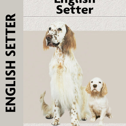 English Setter