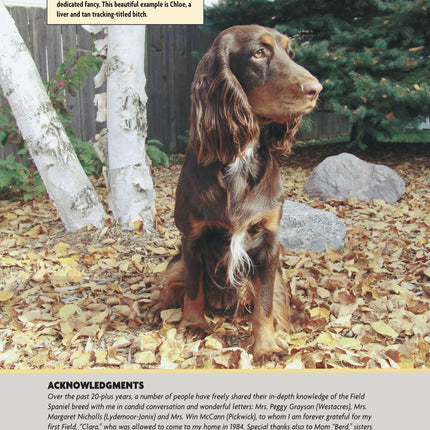 Field Spaniel