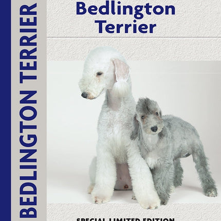 Bedlington Terrier