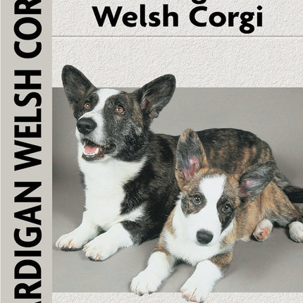 Cardigan Welsh Corgi