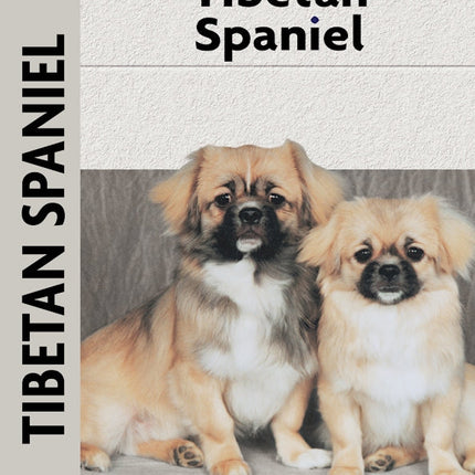 Tibetan Spaniel