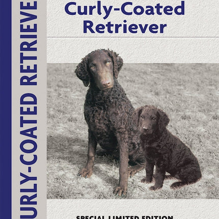 Curly-coated Retriever