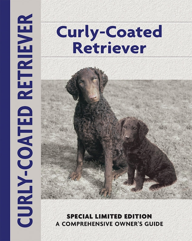 Curly-coated Retriever