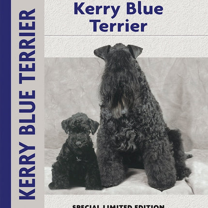 Kerry Blue Terrier