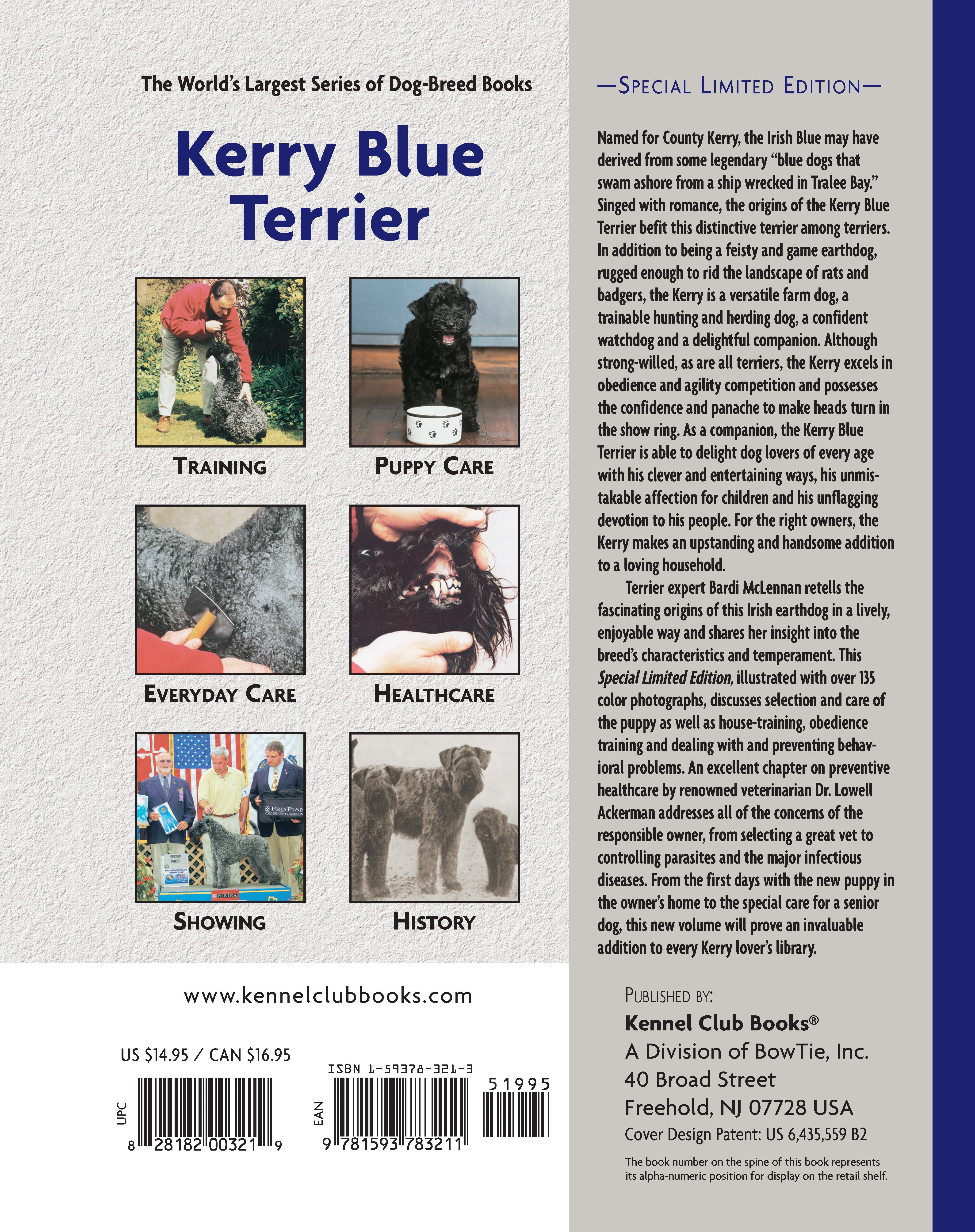 Kerry Blue Terrier