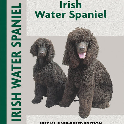 Irish Water Spaniel