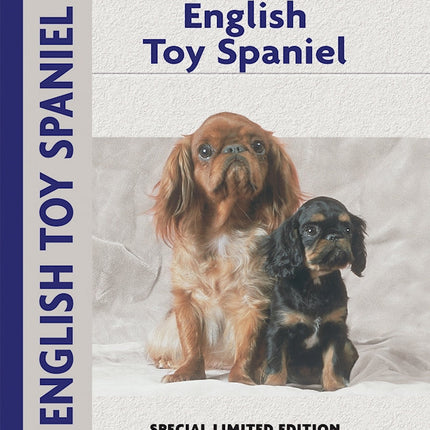 English Toy Spaniel