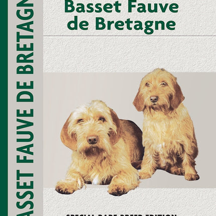 Basset Fauve De Bretagne