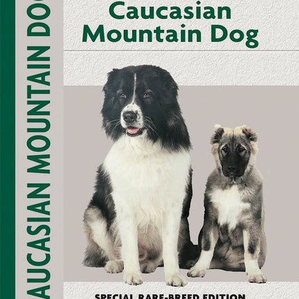 Caucasian Mountain Dog