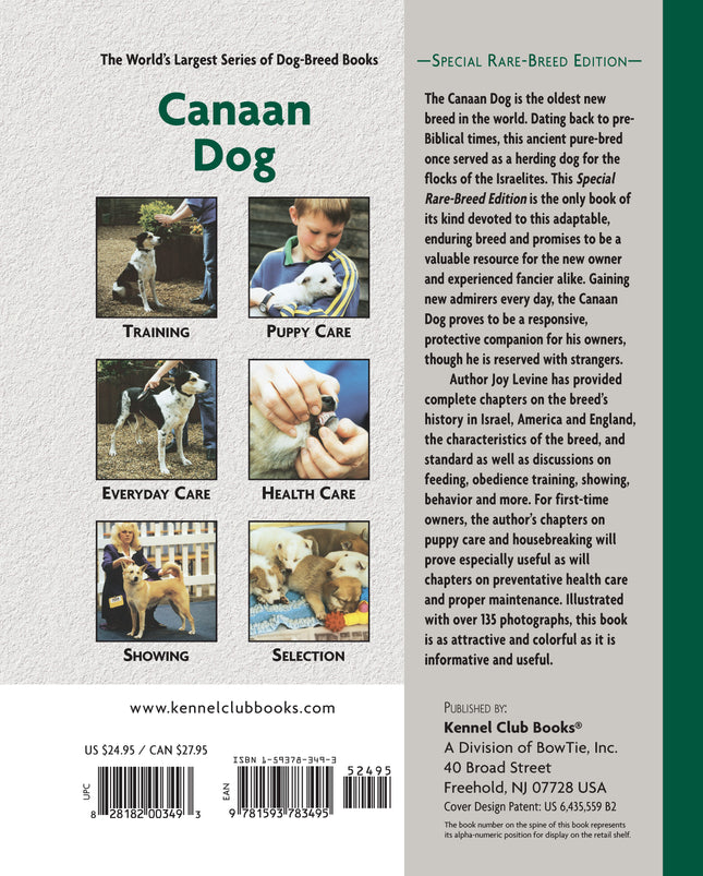 Canaan Dog