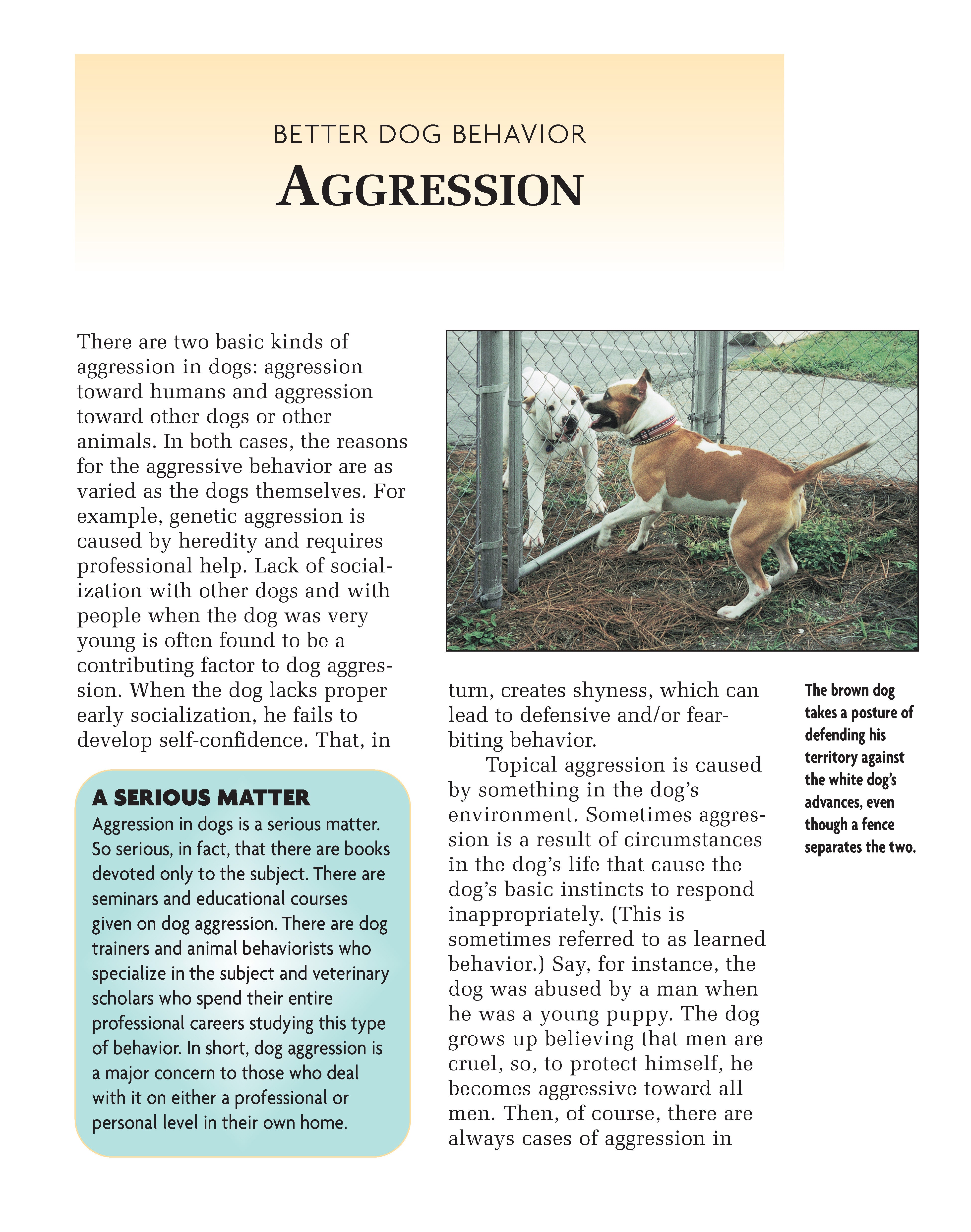 Better Dog Behavior and Training