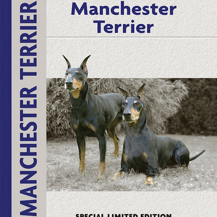 Manchester Terrier