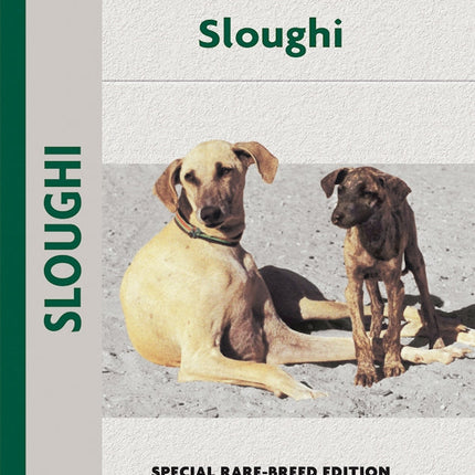 Sloughi