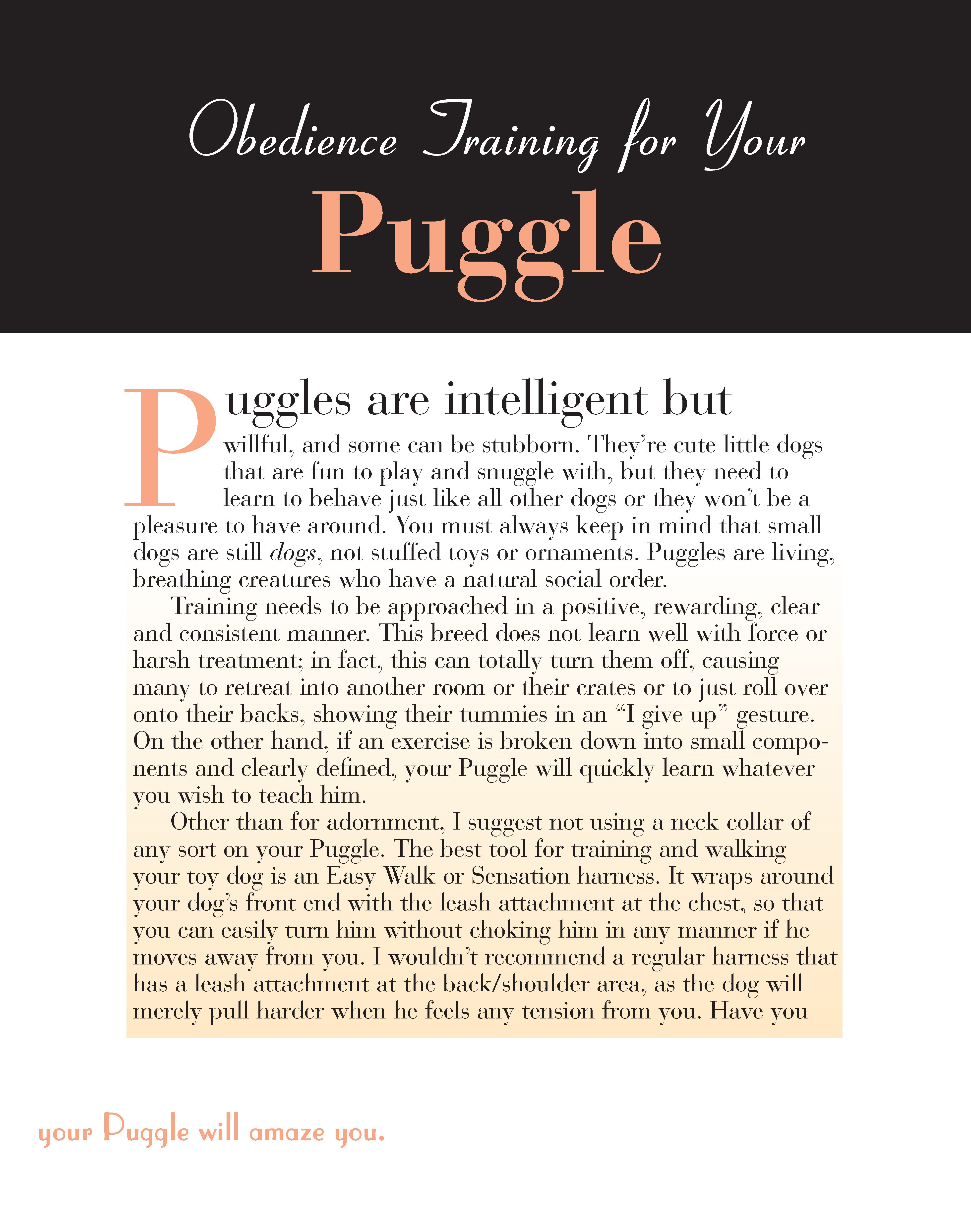 Puggle