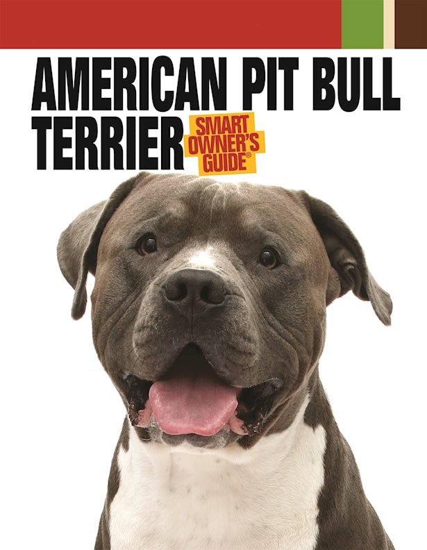 American Pit Bull Terrier