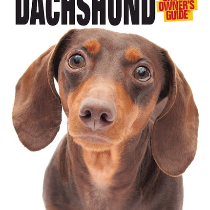 Dachshund