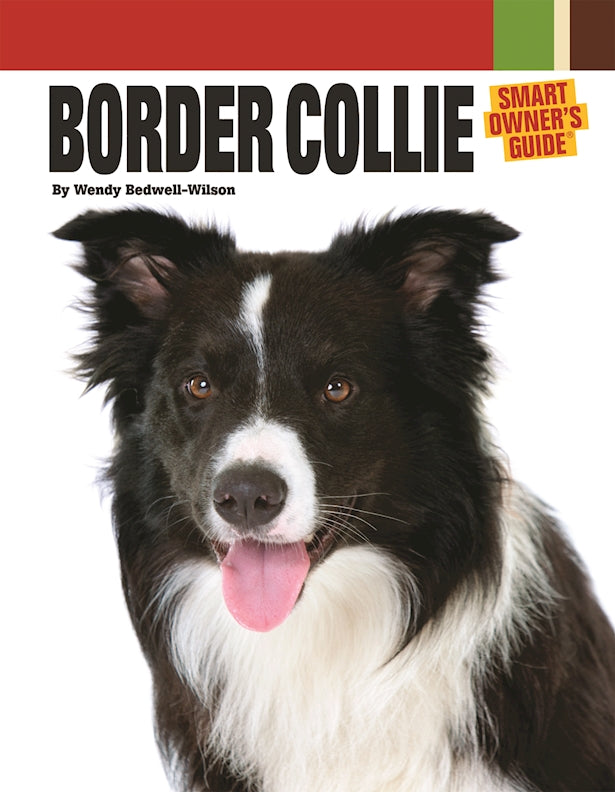 Border Collie | Hardback