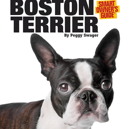 Boston Terrier