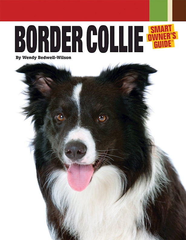 Border Collie | Paperback