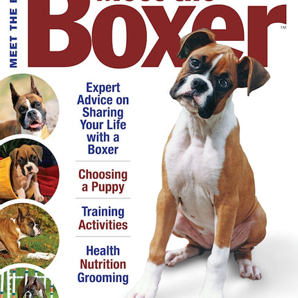 Meet the Boxer