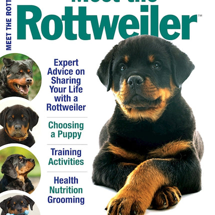 Meet the Rottweiler