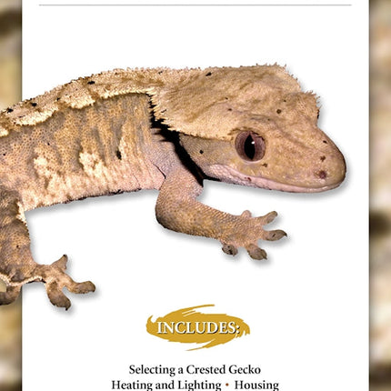 Crested Geckos