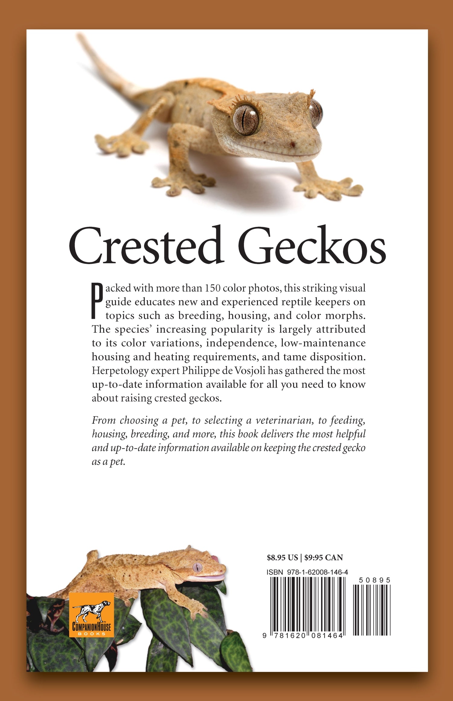 Crested Geckos