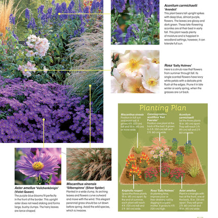 Essential Perennials for Every Garden