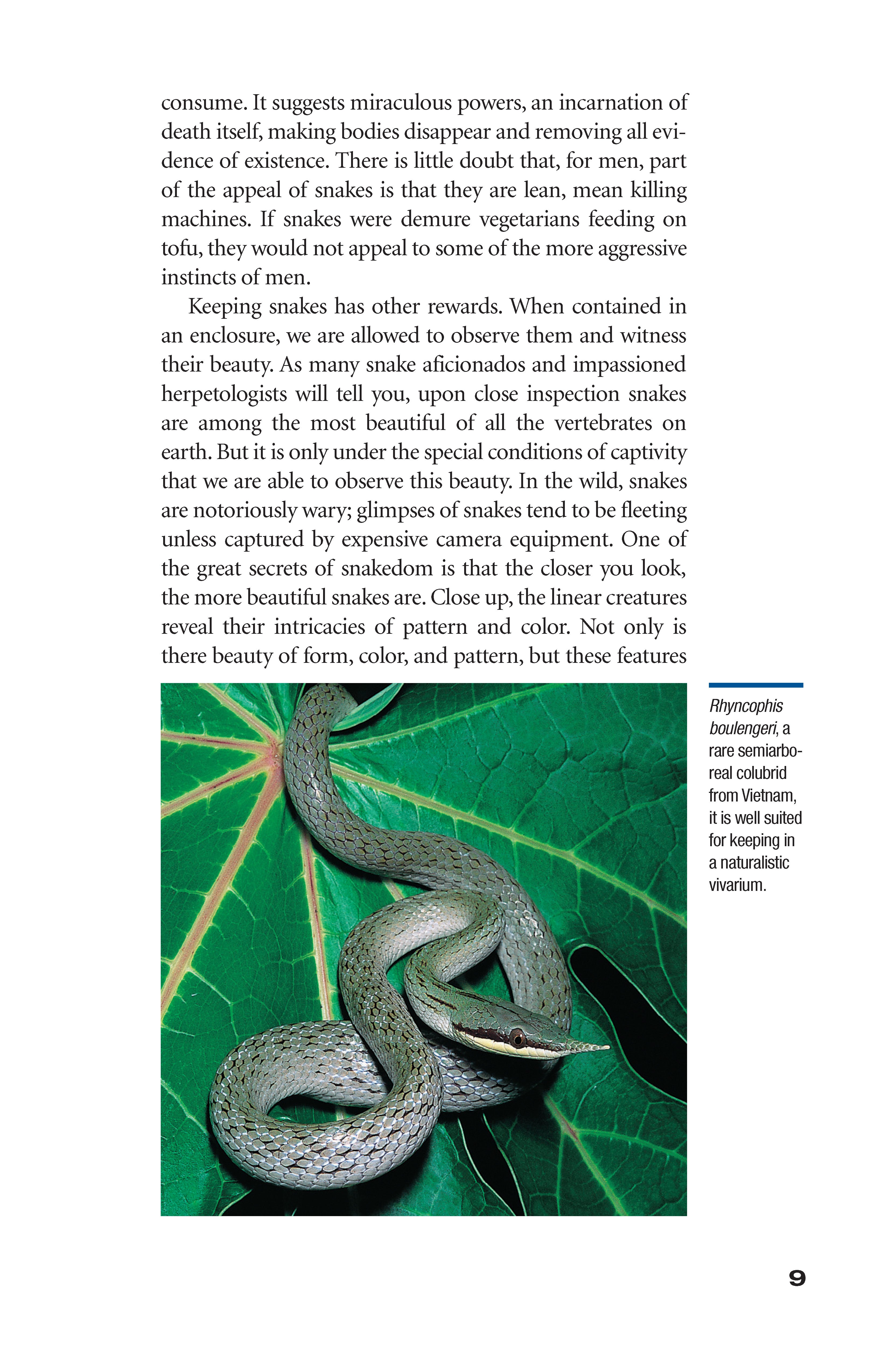 The Art of Keeping Snakes