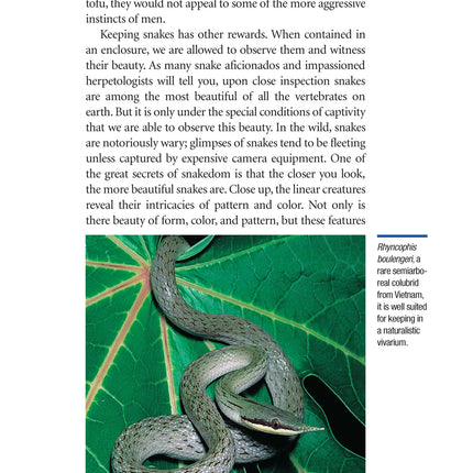 The Art of Keeping Snakes