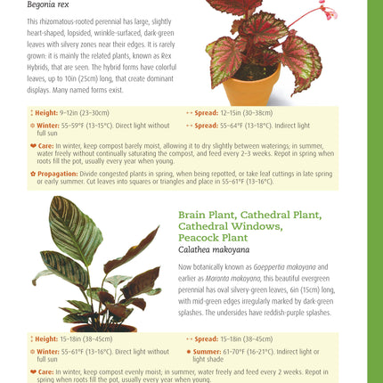 Houseplant Handbook