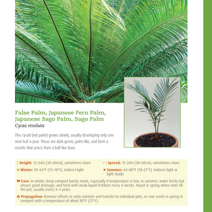 Houseplant Handbook