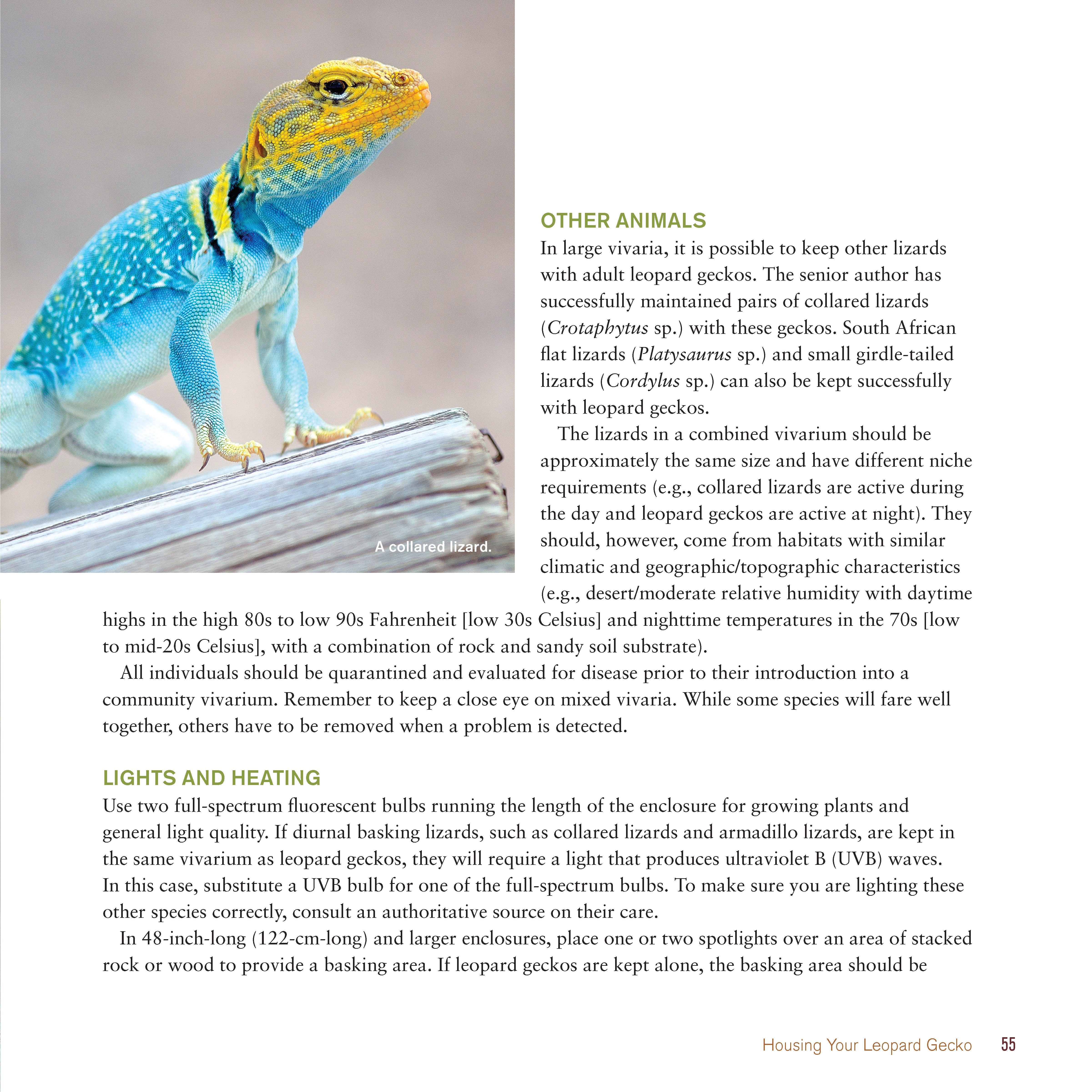 The Leopard Gecko Manual