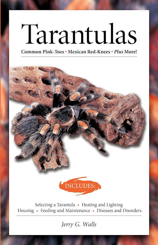 Tarantulas (Advanced Vivarium Systems)