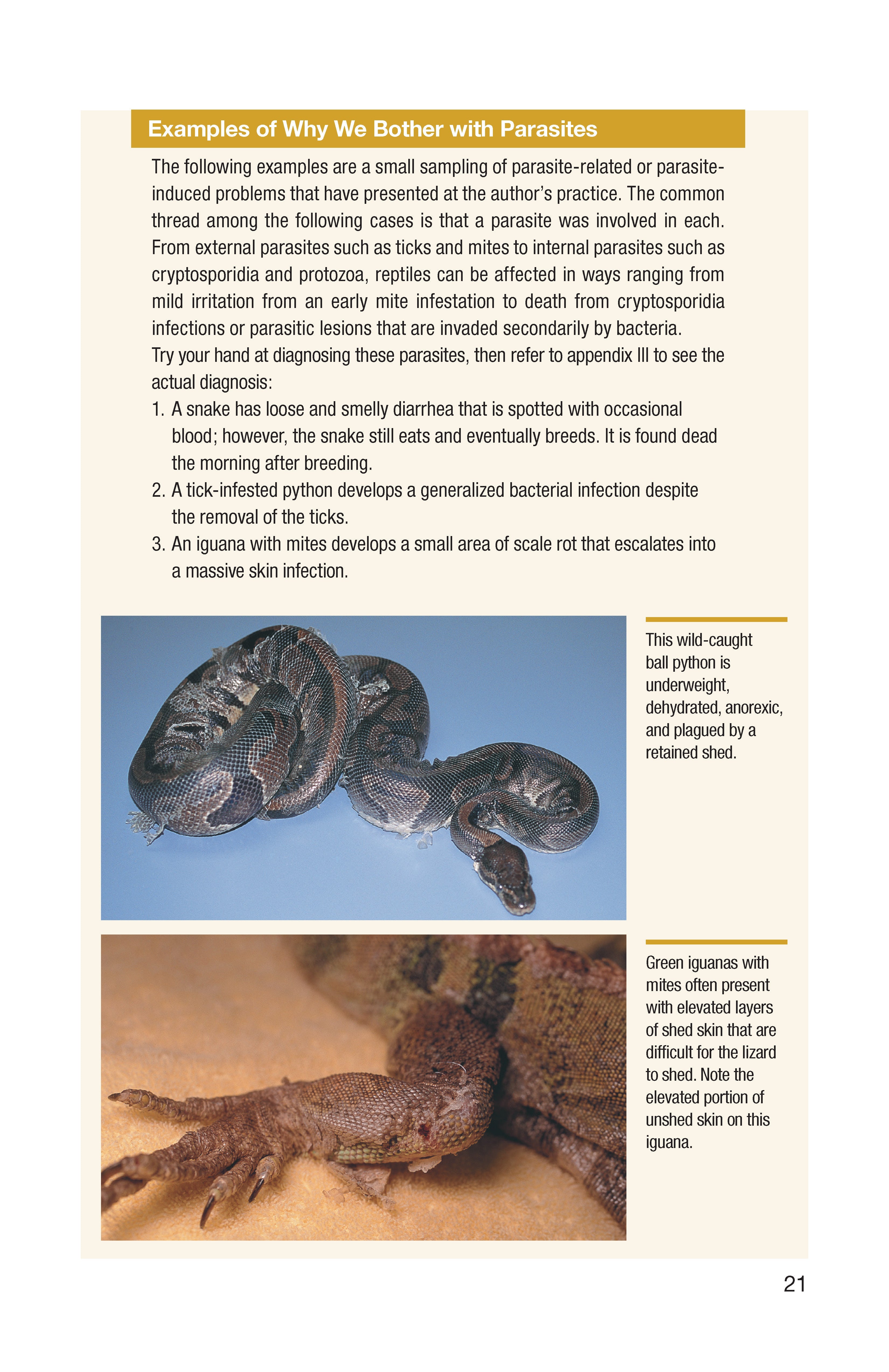 Understanding Reptile Parasites (Advanced Vivarium Systems)