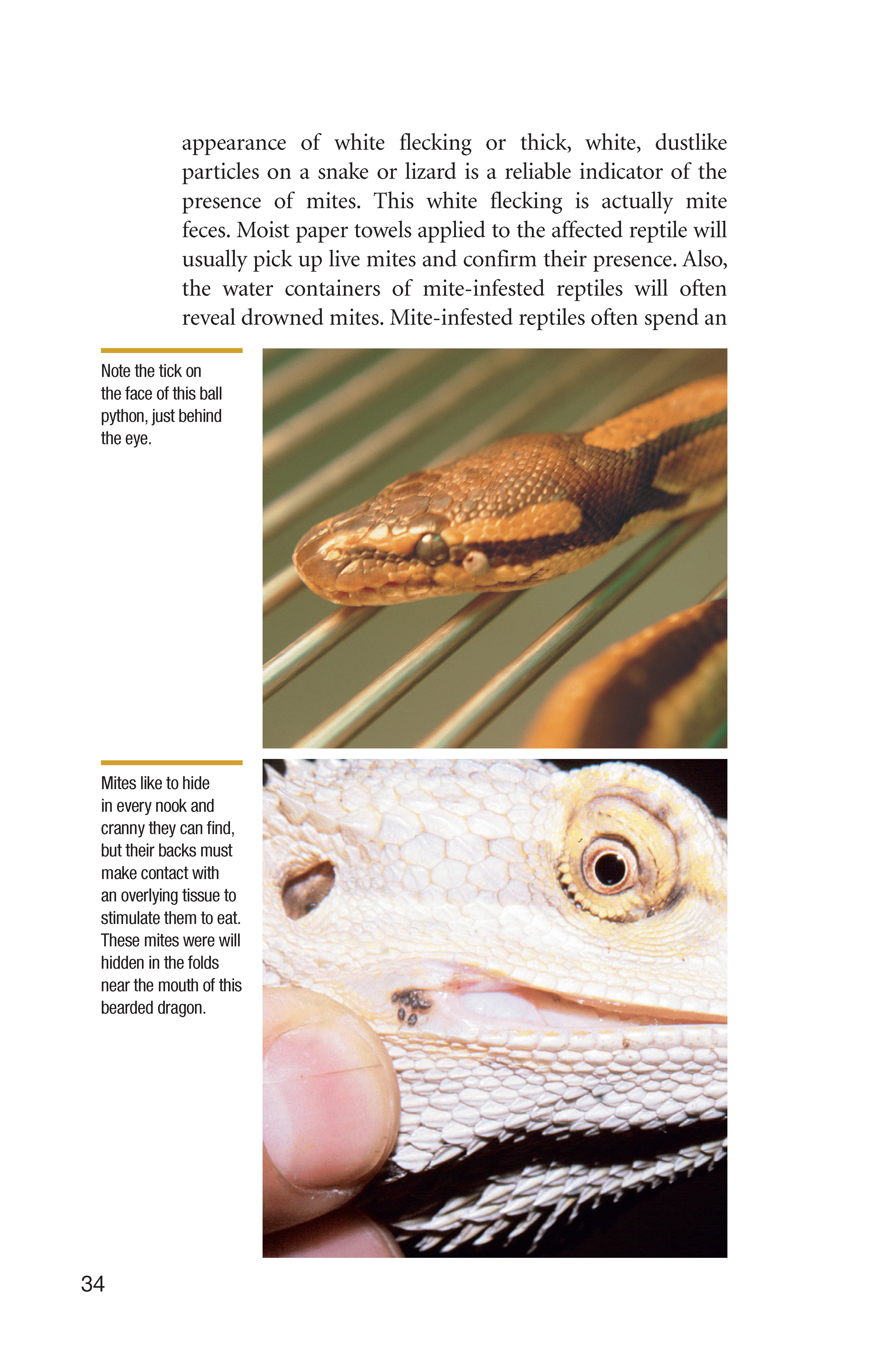 Understanding Reptile Parasites (Advanced Vivarium Systems)