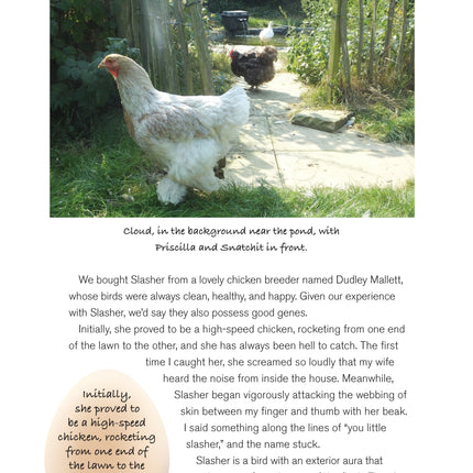 Hen and the Art of Chicken Maintenance