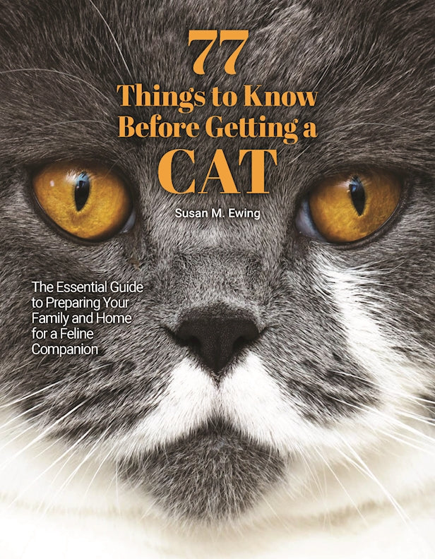 77 Things to Know Before Getting a Cat