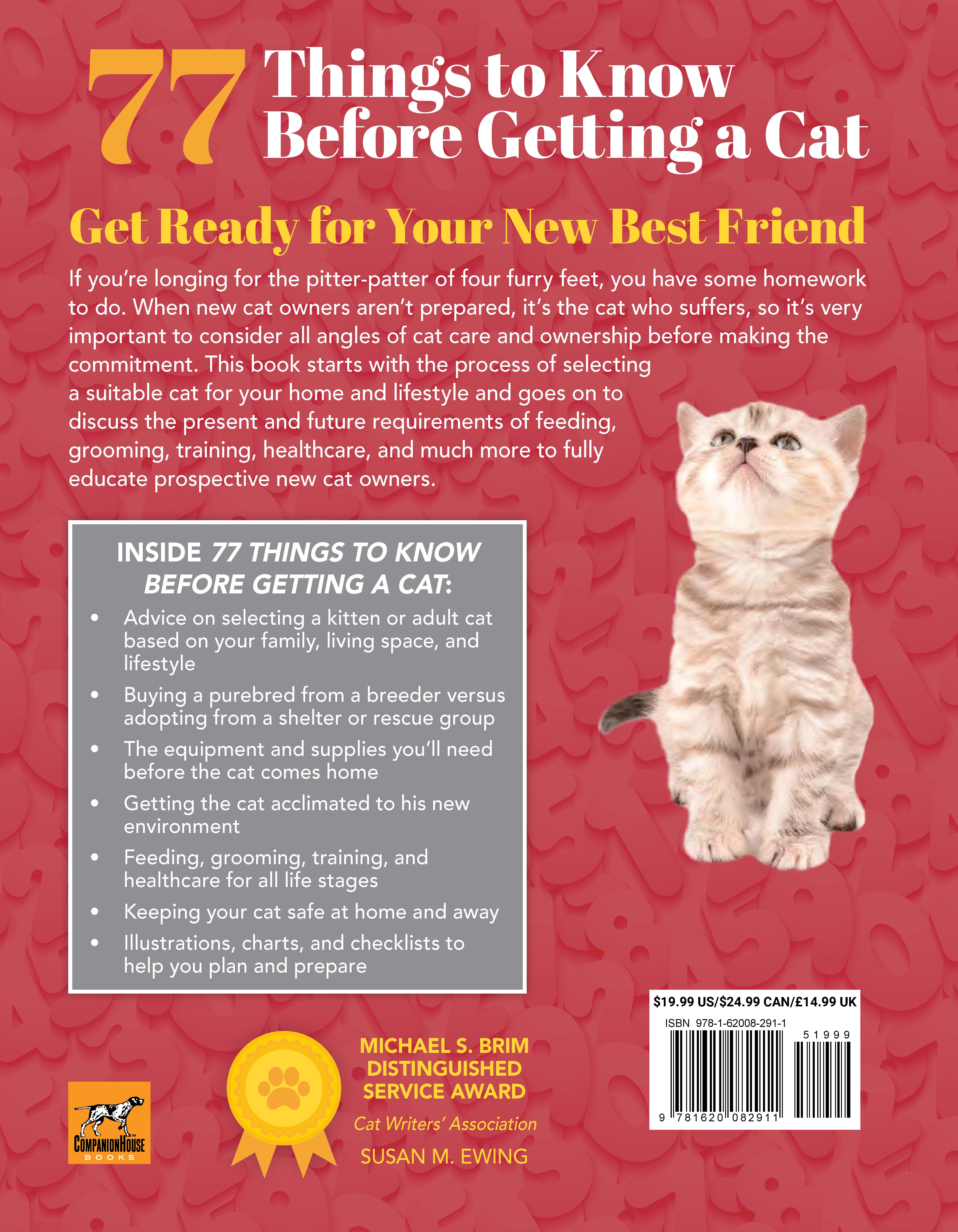 77 Things to Know Before Getting a Cat