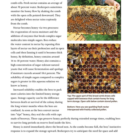 Honey Bee Hobbyist, 2nd Edition