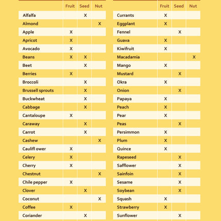 Honey Bee Hobbyist, 2nd Edition