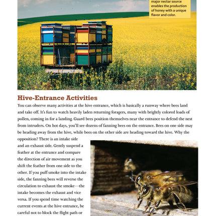 Honey Bee Hobbyist, 2nd Edition