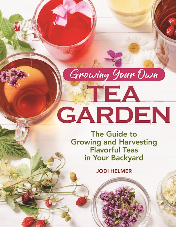 Growing Your Own Tea Garden