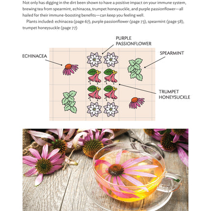 Growing Your Own Tea Garden