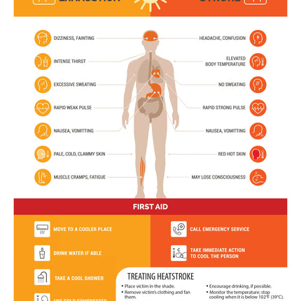 Staying Healthy When You Travel, New Edition