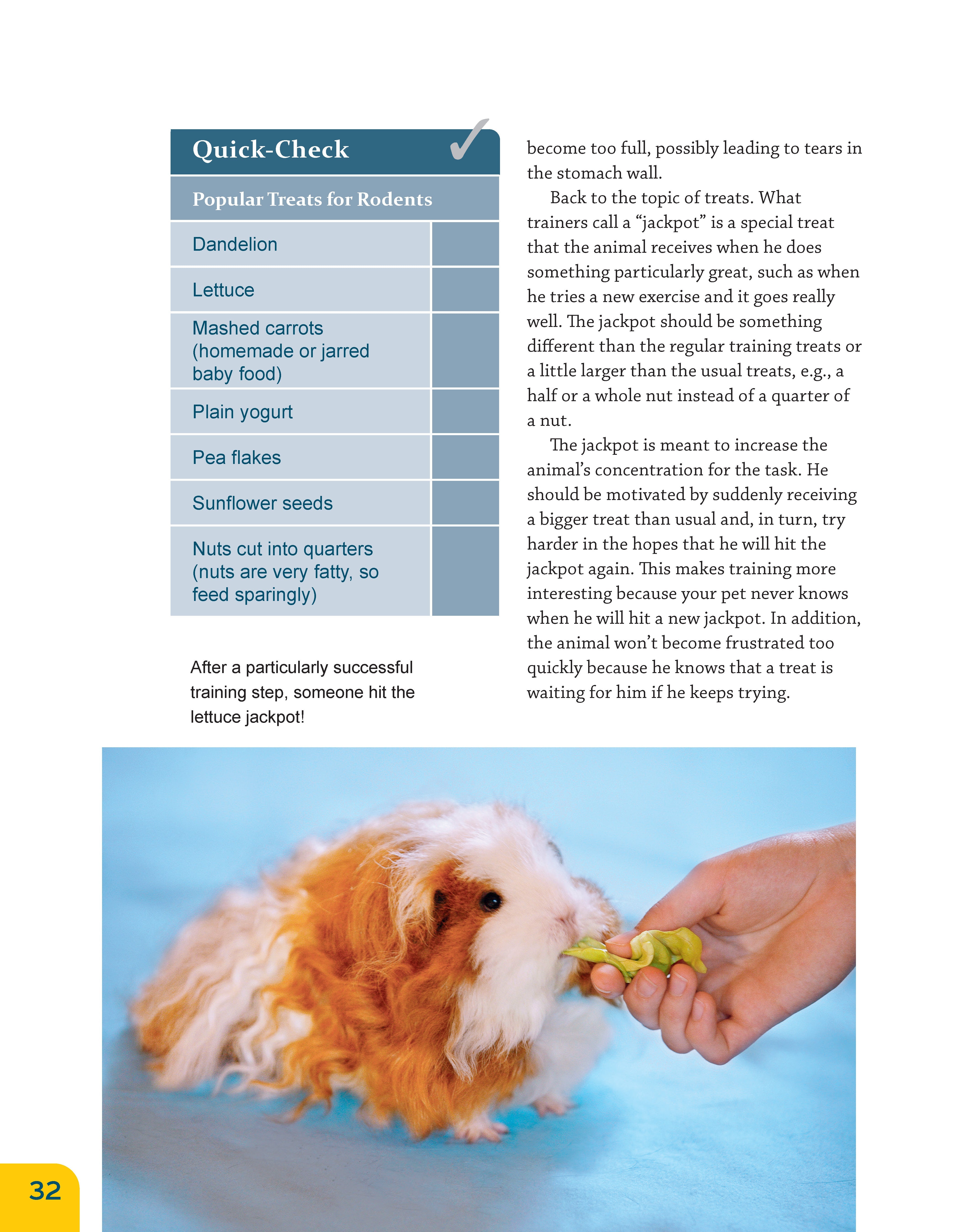 Clicker Training for Rabbits, Guinea Pigs, and Other Small Pets