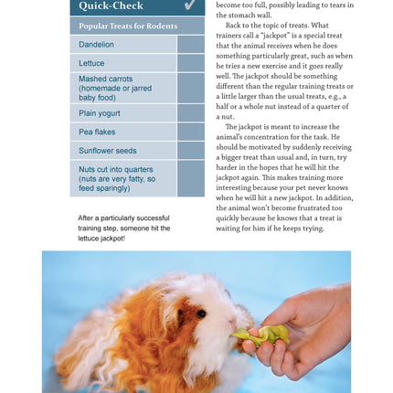 Clicker Training for Rabbits, Guinea Pigs, and Other Small Pets