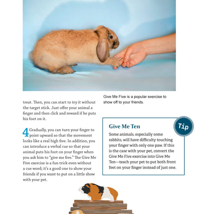 Clicker Training for Rabbits, Guinea Pigs, and Other Small Pets