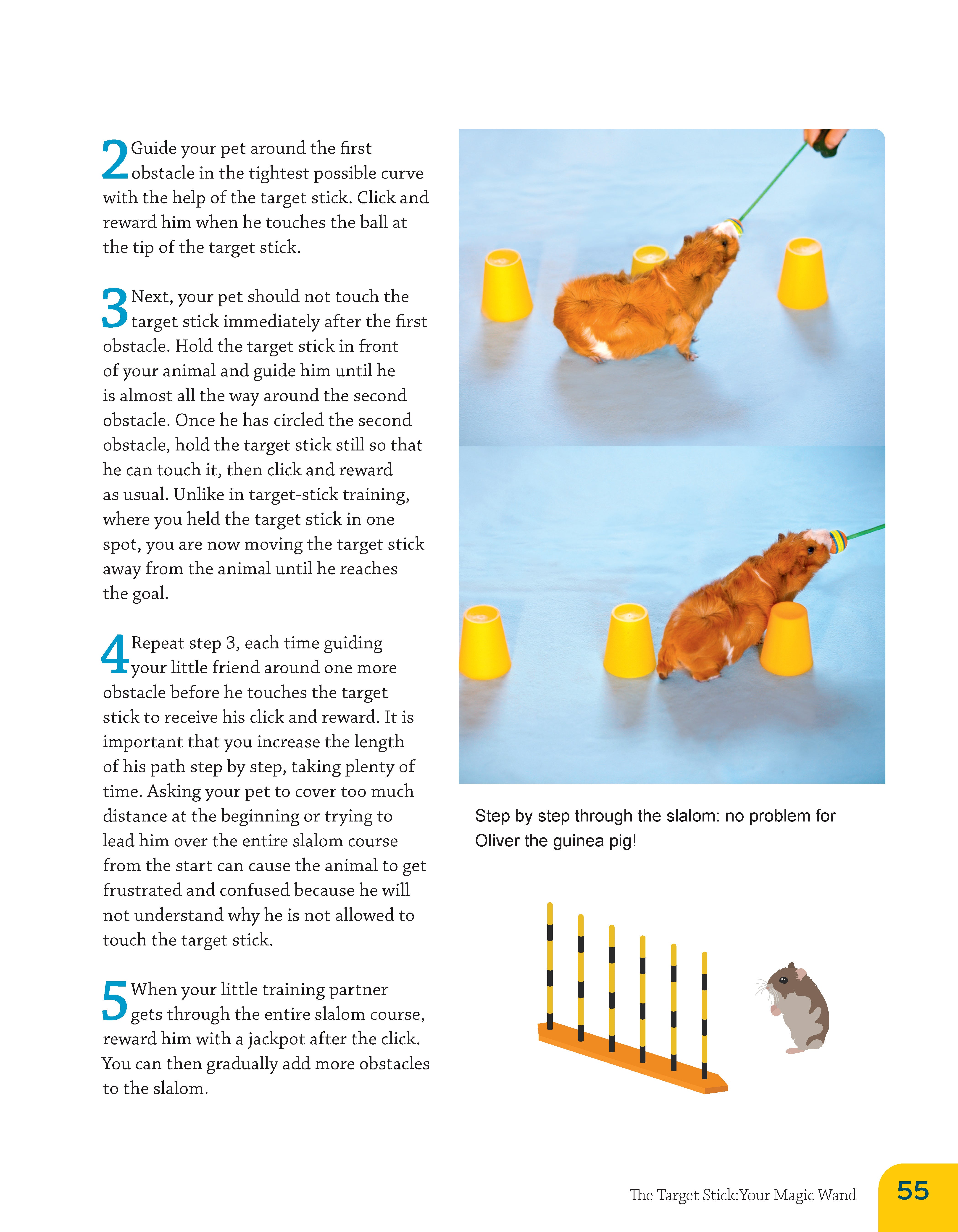 Clicker Training for Rabbits, Guinea Pigs, and Other Small Pets